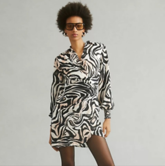 Anthropologie Dresses & Skirts - Anthropologie VNeck Neutral Zebra Print Faux Wrap Dress Smocked Cuffs Size 6